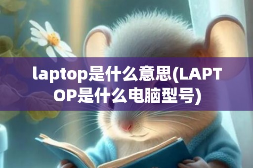 laptop是什么意思(LAPTOP是什么电脑型号)