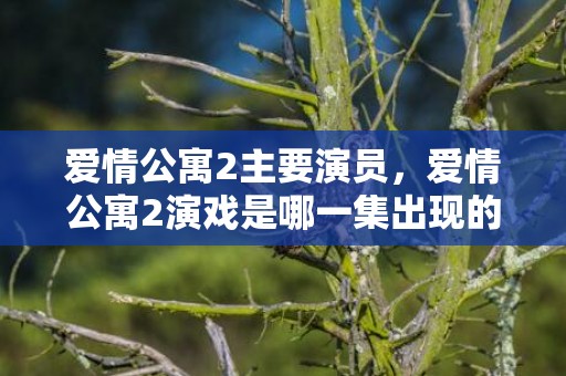 爱情公寓2主要演员，爱情公寓2演戏是哪一集出现的？爱情公寓演戏是哪一集