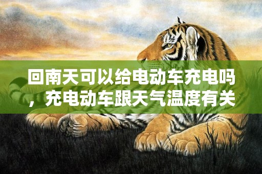 回南天可以给电动车充电吗，充电动车跟天气温度有关吗