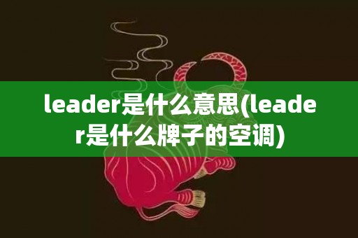 leader是什么意思(leader是什么牌子的空调)