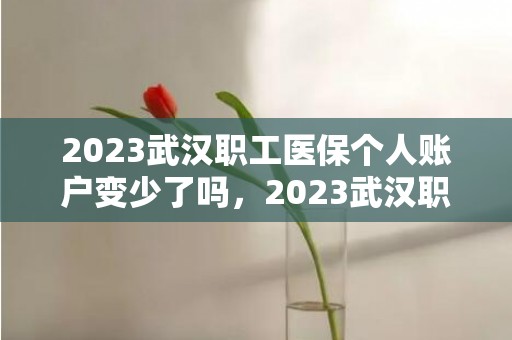 2023武汉职工医保个人账户变少了吗，2023武汉职工医保个人账户的钱还能用吗
