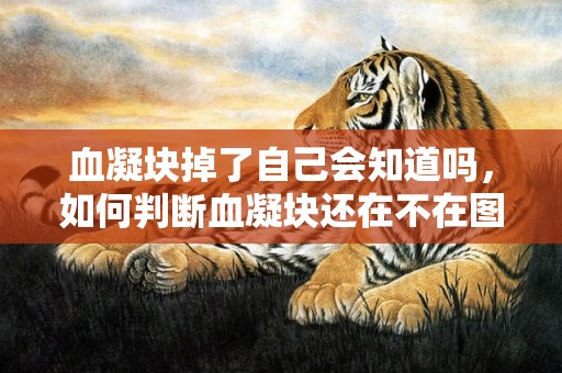 血凝块掉了自己会知道吗，如何判断血凝块还在不在图片