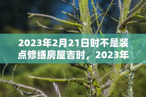2023年2月21日时不是装点修缮房屋吉时，2023年2月21日装修房子好吗