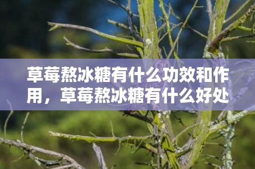 草莓熬冰糖有什么功效和作用，草莓熬冰糖有什么好处