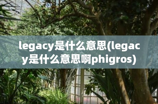 legacy是什么意思(legacy是什么意思啊phigros)
