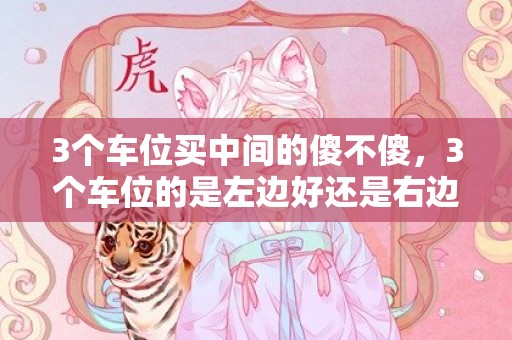 3个车位买中间的傻不傻，3个车位的是左边好还是右边好