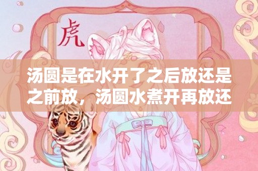 汤圆是在水开了之后放还是之前放，汤圆水煮开再放还是直接放