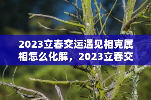 2023立春交运遇见相克属相怎么化解，2023立春交运注意事项