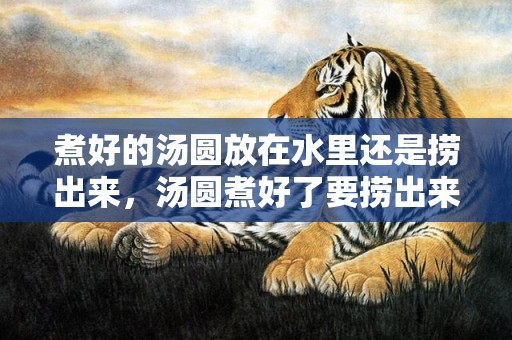 煮好的汤圆放在水里还是捞出来，汤圆煮好了要捞出来吗