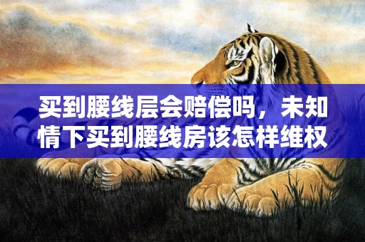 买到腰线层会赔偿吗，未知情下买到腰线房该怎样维权
