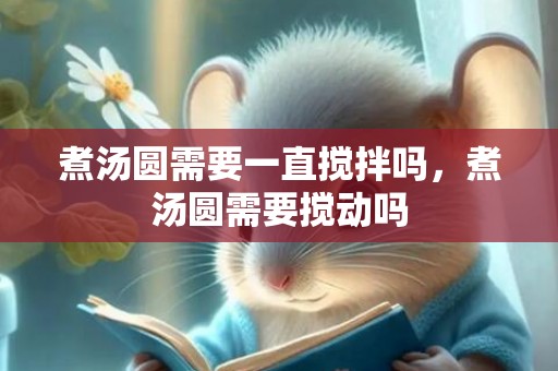 煮汤圆需要一直搅拌吗，煮汤圆需要搅动吗