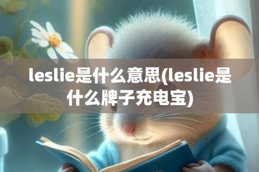 leslie是什么意思(leslie是什么牌子充电宝)