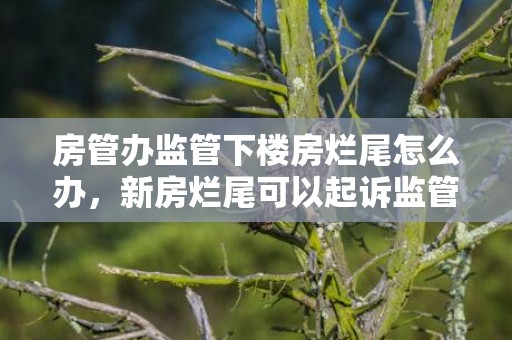 房管办监管下楼房烂尾怎么办，新房烂尾可以起诉监管机构吗