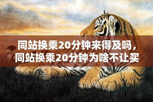同站换乘20分钟来得及吗，同站换乘20分钟为啥不让买票