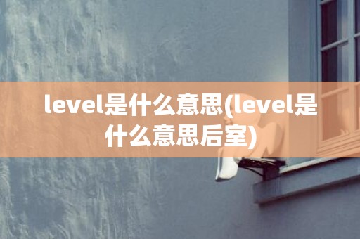 level是什么意思(level是什么意思后室)