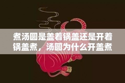 煮汤圆是盖着锅盖还是开着锅盖煮，汤圆为什么开盖煮