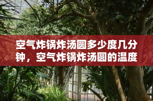 空气炸锅炸汤圆多少度几分钟，空气炸锅炸汤圆的温度和时间