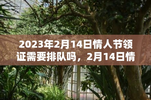 2023年2月14日情人节领证需要排队吗，2月14日情人节领证的人多不多