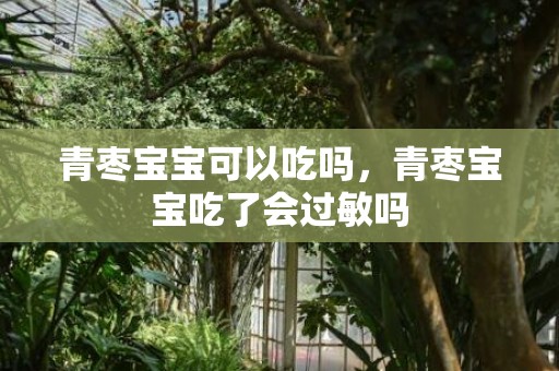 青枣宝宝可以吃吗，青枣宝宝吃了会过敏吗