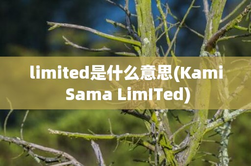 limited是什么意思(Kami Sama LimITed)