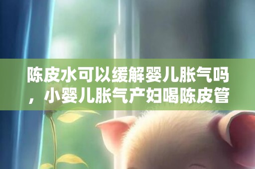 陈皮水可以缓解婴儿胀气吗，小婴儿胀气产妇喝陈皮管用吗