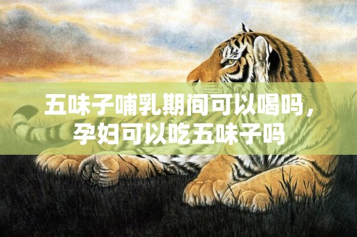 五味子哺乳期间可以喝吗，孕妇可以吃五味子吗