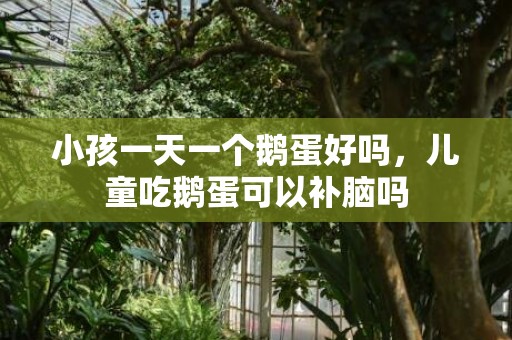 小孩一天一个鹅蛋好吗，儿童吃鹅蛋可以补脑吗