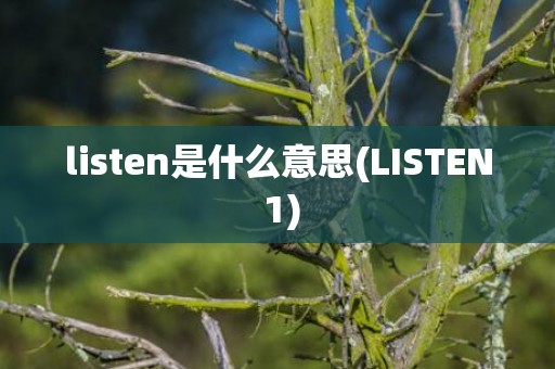 listen是什么意思(LISTEN 1)