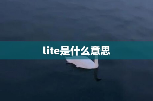 lite是什么意思