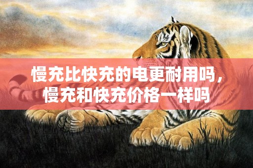 慢充比快充的电更耐用吗，慢充和快充价格一样吗