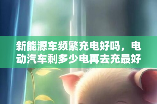 新能源车频繁充电好吗，电动汽车剩多少电再去充最好