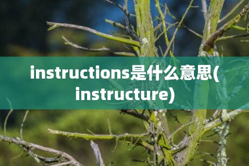 instructions是什么意思(instructure)