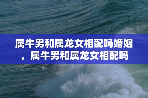 属牛男和属龙女相配吗婚姻，属牛男和属龙女相配吗