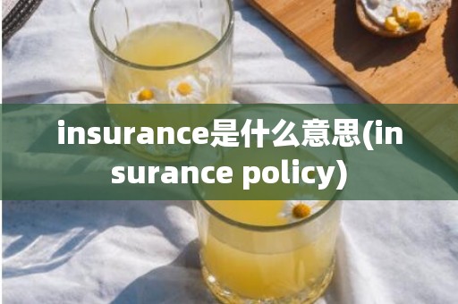 insurance是什么意思(insurance policy)