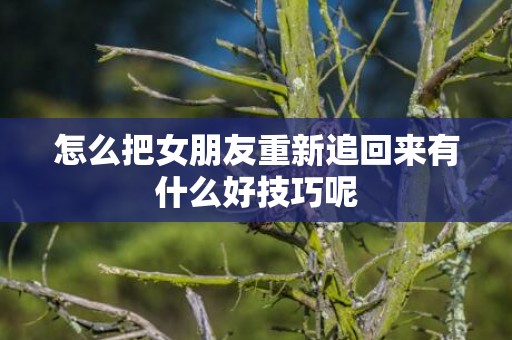 怎么把女朋友重新追回来有什么好技巧呢
