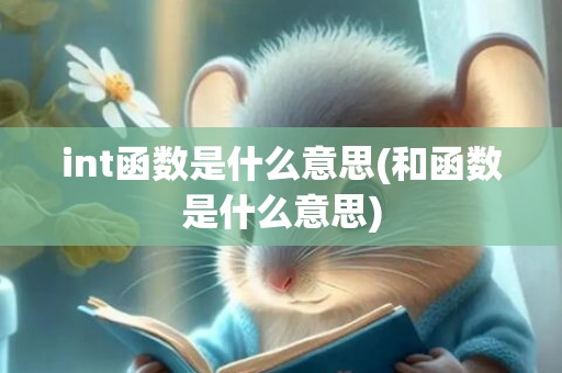 int函数是什么意思(和函数是什么意思)