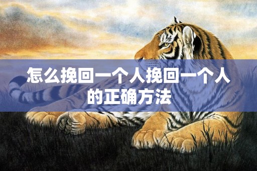 怎么挽回一个人挽回一个人的正确方法
