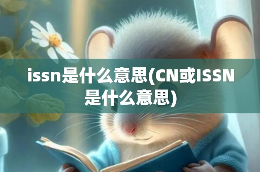 issn是什么意思(CN或ISSN是什么意思)