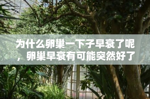 为什么卵巢一下子早衰了呢，卵巢早衰有可能突然好了吗