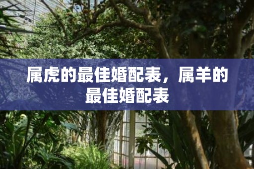 属虎的最佳婚配表，属羊的最佳婚配表