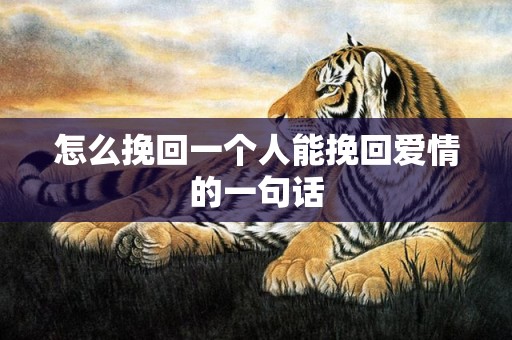 怎么挽回一个人能挽回爱情的一句话
