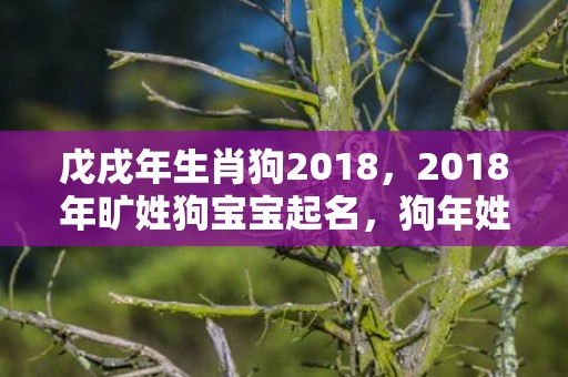 戊戌年生肖狗2018，2018年旷姓狗宝宝起名，狗年姓旷的宝宝名字