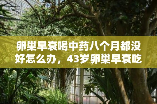 卵巢早衰喝中药八个月都没好怎么办，43岁卵巢早衰吃中药怎么调理