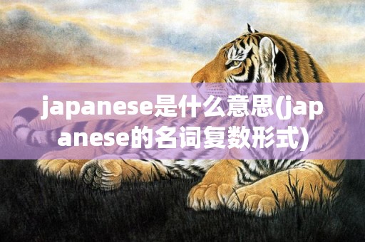 japanese是什么意思(japanese的名词复数形式)