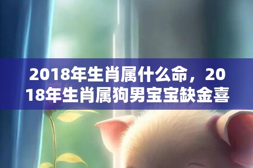 2018年生肖属什么命，2018年生肖属狗男宝宝缺金喜木起名大全