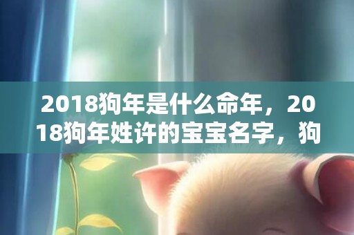 2018狗年是什么命年，2018狗年姓许的宝宝名字，狗年许姓宝宝取名大全
