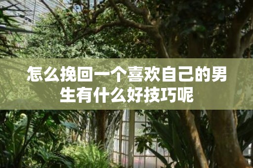 怎么挽回一个喜欢自己的男生有什么好技巧呢
