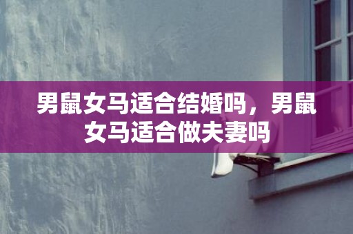 男鼠女马适合结婚吗，男鼠女马适合做夫妻吗