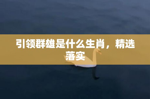 引领群雄是什么生肖，精选落实