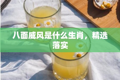 八面威风是什么生肖，精选落实